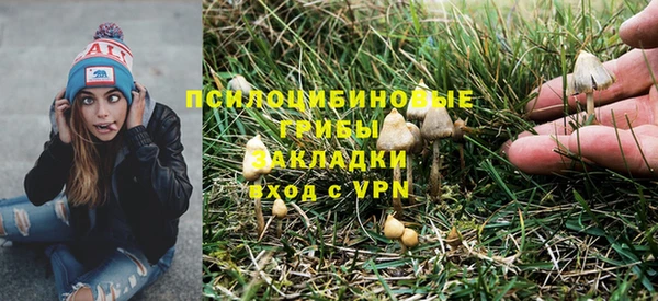 ГАЛЛЮЦИНОГЕННЫЕ ГРИБЫ Алексин