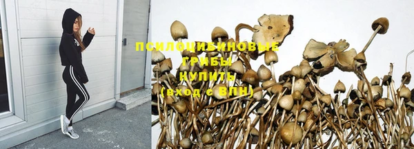 кокс Алзамай