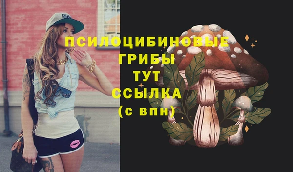 ГАЛЛЮЦИНОГЕННЫЕ ГРИБЫ Алексин