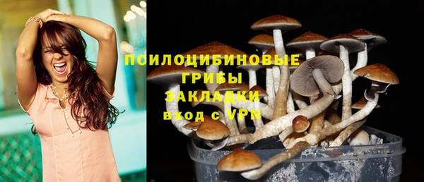 прущие крисы Алексеевка